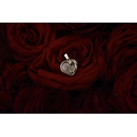 Prívesok Symbio 14k (1,5 cm)